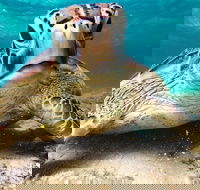 Sail Snorkel SUP  Kayak Charter Whitsundays - Restaurant Darwin