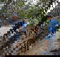 Fully guided E-Mountain Bike Tour on the beautiful Mornington Peninsula. - Restaurant Darwin