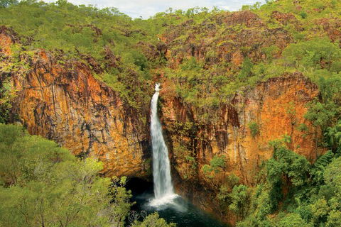 7 Days Darwin, Kakadu National Park, Katherine Gorge Touring Package - Restaurant Darwin 3