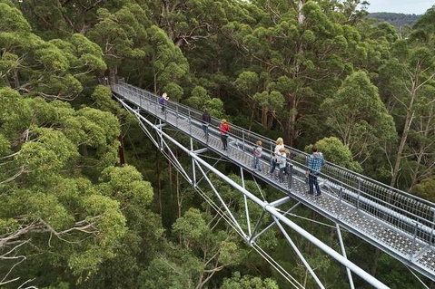 6 Days Perth All-Inclusive Touring Package With Wildflowers ( Seasonal) - Restaurant Darwin 3