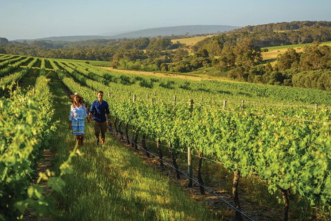 6 Days Perth All-Inclusive Touring Package With Wildflowers ( Seasonal) - Restaurant Darwin 4