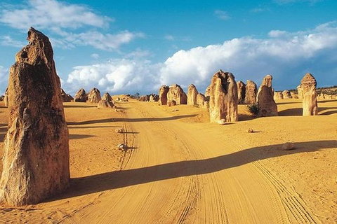 6 Days Perth All-Inclusive Touring Package With Wildflowers ( Seasonal) - Restaurant Darwin 5
