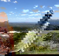 3 nights 2 full days private guided tour of the Sunshine Coast and Hinterland - Restaurant Darwin