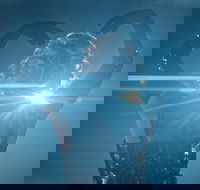 Great Opera Hits at the Sydney Opera House - Restaurant Darwin