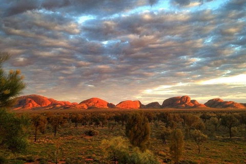 5-Hour Kata Tjuta Sunrise Tour From Ayers Rock With Breakfast - Restaurant Darwin 1