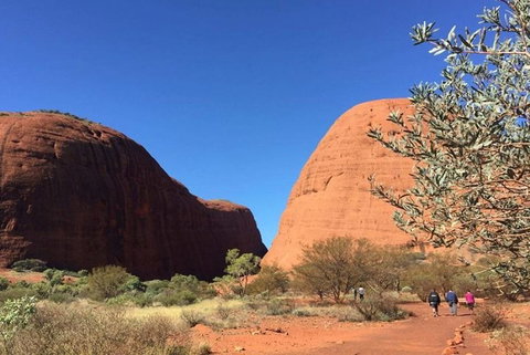 5-Hour Kata Tjuta Sunrise Tour From Ayers Rock With Breakfast - Restaurant Darwin 4