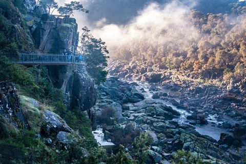 3.5 Hours Walking Tour To Cataract Gorge With Local Guide - Restaurant Darwin 1