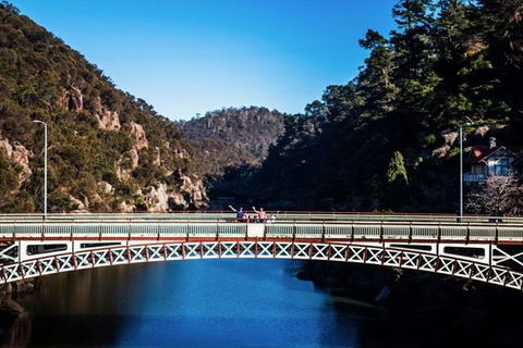 3.5 Hours Walking Tour To Cataract Gorge With Local Guide - Restaurant Darwin 4