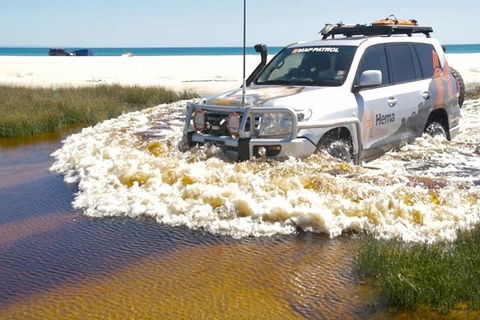 Full-Day Moreton Island 4x4 Sightseeing Tour - Restaurant Darwin 0