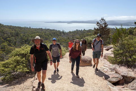 3-Day Tasmania Combo: Launceston To Hobart Active Tour Including Cradle Mountain, Freycinet National Park And Port Arthur - Restaurant Darwin 5
