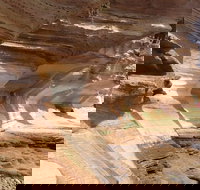 Hobart Minibus Full-Day Private Tour - Restaurant Darwin