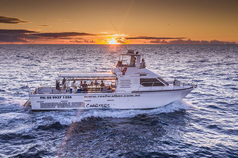 Kalbarri Sunset Coastal Cliff Cruise - Restaurant Darwin 2
