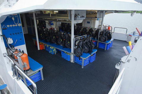 Silverswift Outer Great Barrier Reef Dive And Snorkel Cruise From Cairns - Restaurant Darwin 0