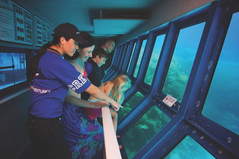 Great Barrier Reef Adventure From Cairns - Restaurant Darwin 0