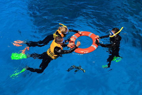 Great Barrier Reef Adventure From Cairns - Restaurant Darwin 3