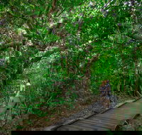 Green Island Eco Adventure from Cairns - Restaurant Darwin
