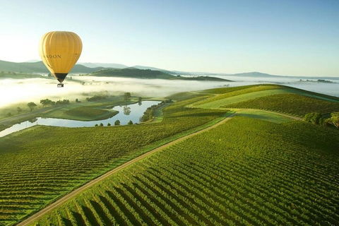 Half-Day Or Full-Day Tour With Private Guide From Melbourne - Restaurant Darwin 4