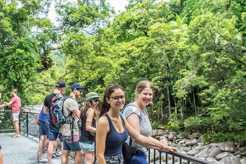 Cape Tribulation, Mossman Gorge, And Daintree Rainforest Day Trip From Cairns Or Port Douglas - Restaurant Darwin 0