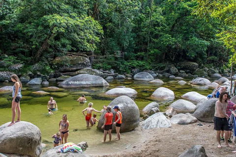 Cape Tribulation, Mossman Gorge, And Daintree Rainforest Day Trip From Cairns Or Port Douglas - Restaurant Darwin 1
