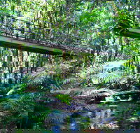 Double Pack-Ancient Rainforest and Waterfalls - Restaurant Darwin