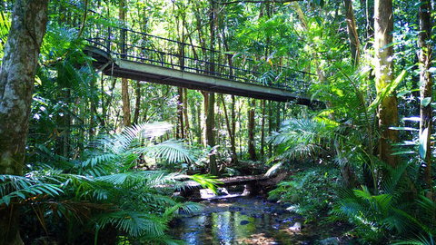 Double Pack-Ancient Rainforest And Waterfalls! - Restaurant Darwin 0