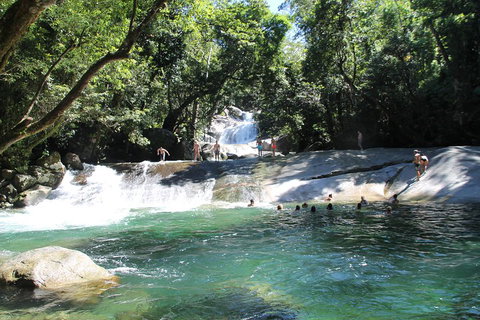 Double Pack-Ancient Rainforest And Waterfalls! - Restaurant Darwin 2