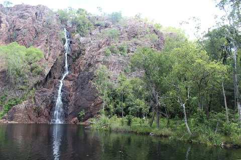 Jumping Crocodile Cruise And Berry Springs Nature Park - Restaurant Darwin 5