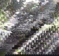 6-Day Hearty Tasmania Tour Tasmania in a Circle - Restaurant Darwin