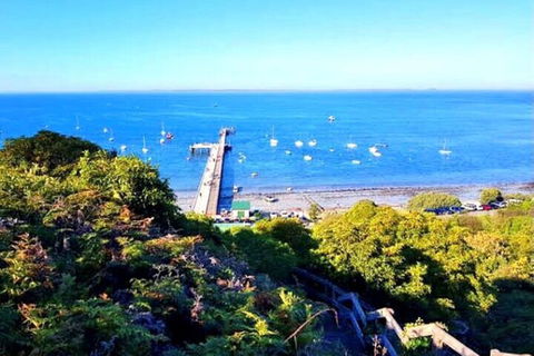 Mornington Peninsula Sightseeing Tour For 2-6 Guests. - Restaurant Darwin 1