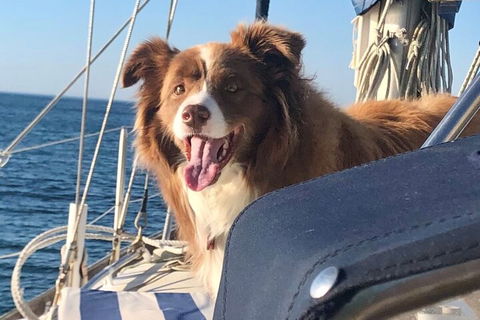 Mornington Peninsula Sightseeing Tour For 2-6 Guests. - Restaurant Darwin 2