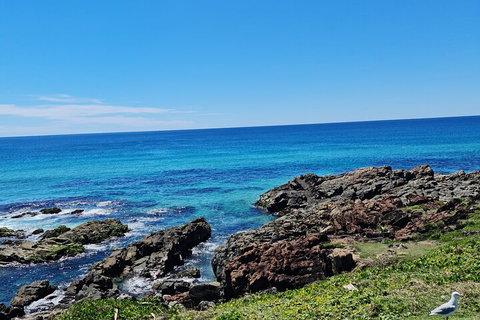 Private Custom Byron Bay Day Out - Restaurant Darwin 4