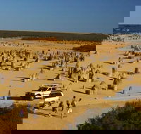1-Day Pinnacles and Yanchep Tour from Perth including Fish and Chips Lunch - Restaurant Darwin