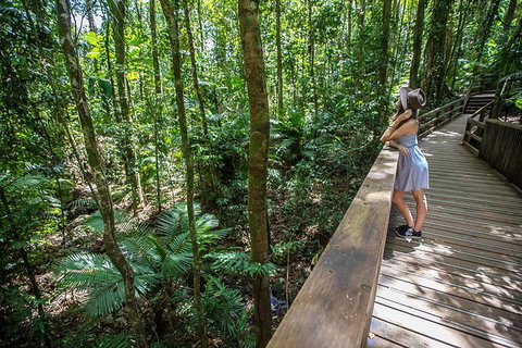 3 Day Great Barrier Reef, Daintree Rainforest And Outback Chillagoe Tour - Restaurant Darwin 3