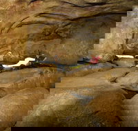 2-Day Wave Rock York Wildflowers  Aboriginal Experience - Restaurant Darwin