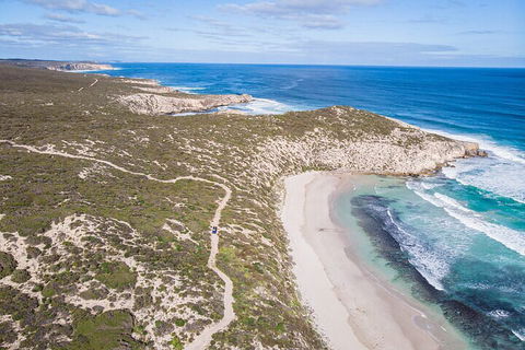 Small-Group Buggy Tour At Little Sahara With Guide - Restaurant Darwin 4