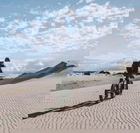 2-Hour Electric Fat Bike Tour in Kangaroo Island - Restaurant Darwin