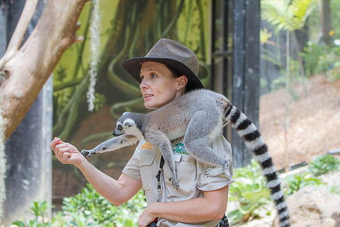 Currumbin Wildlife Sanctuary General Entry Ticket - Restaurant Darwin 1