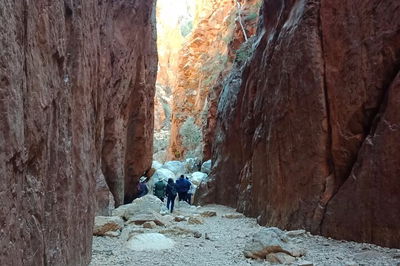 West MacDonnell Private Tour with Transfer