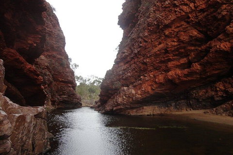 West MacDonnell Ranges Half - Day Tour - Restaurant Darwin 4