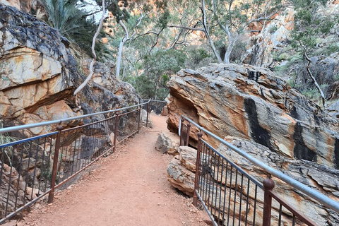 West MacDonnell Ranges Half-Day Private Charter Guided Tour - Restaurant Darwin 0