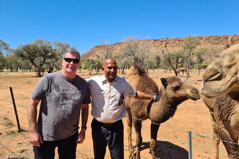 West MacDonnell Ranges Half-Day Small-Group Tour With Camel Ride - Restaurant Darwin 1