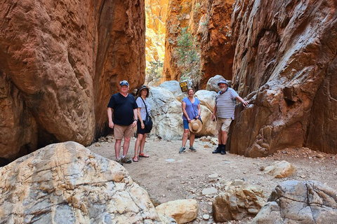 West MacDonnell Ranges Half-Day Small-Group Tour With Camel Ride - Restaurant Darwin 4