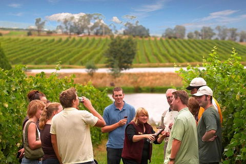 Yarra Valley Wine And Winery Tour From Melbourne - Restaurant Darwin 0