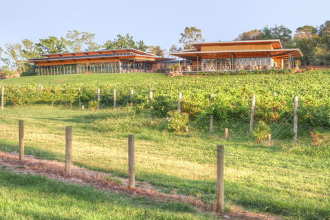 Yarra Valley Wine And Winery Tour From Melbourne - Restaurant Darwin 1
