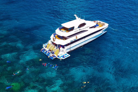 Great Barrier Reef Snorkeling And Diving Cruise From Cairns - Restaurant Darwin 5