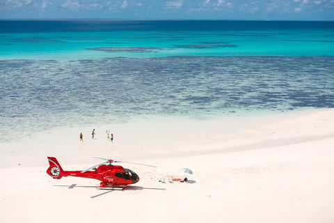 Private Helicopter Tour: Reef Island Snorkeling And Gourmet Picnic Lunch - Restaurant Darwin 2