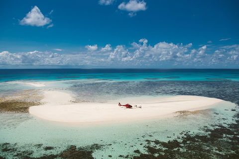 Private Helicopter Tour: Reef Island Snorkeling And Gourmet Picnic Lunch - Restaurant Darwin 4