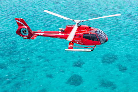 Helicopter And Cruise Packages From Port Douglas - Restaurant Darwin 5
