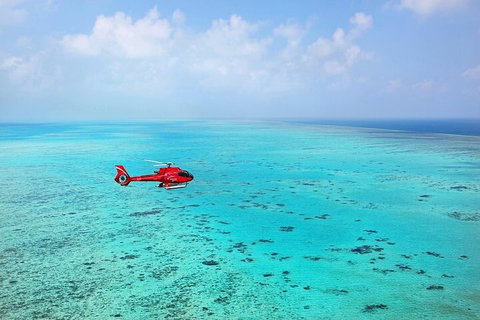 Ultimate Great Barrier Reef And Rainforest 45-minute Helicopter Tour - Restaurant Darwin 2