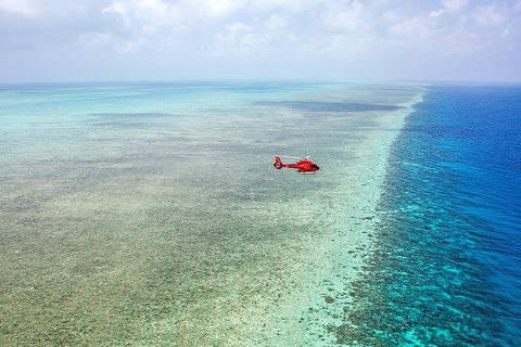 Ultimate Great Barrier Reef And Rainforest 45-minute Helicopter Tour - Restaurant Darwin 5